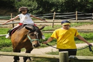 El monitor guia al caballo